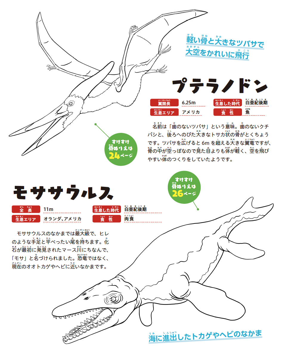 どんなすがたかたちだったのか想像(そうぞう)しながらぬってみよう/骨(ほね)ぬりえって？『すけすけ恐竜骨ぬりえずかん』