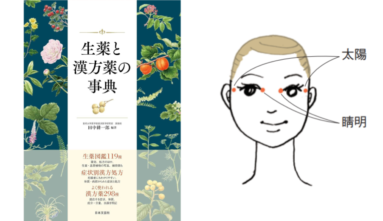 症状と漢方処方 目の疲れ【生薬と漢方薬の事典】